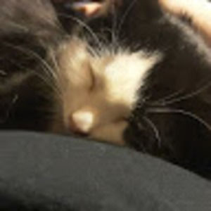 Meet your Posher, Emily rose